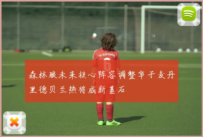 森林狼未来核心阵容调整华子麦丹里德贝兰热将成新基石