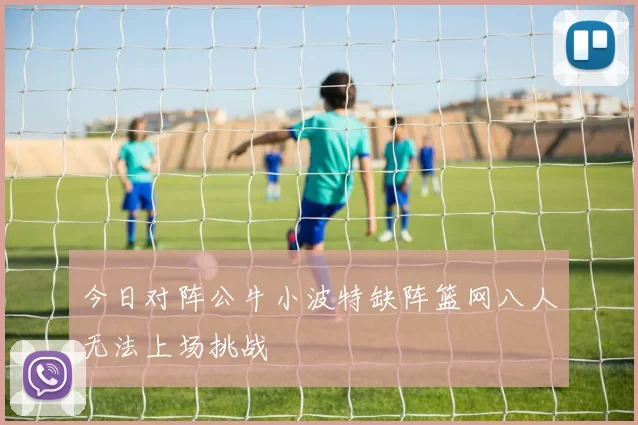 今日对阵公牛小波特缺阵篮网八人无法上场挑战
